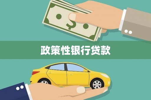 岚山政策性银行贷款