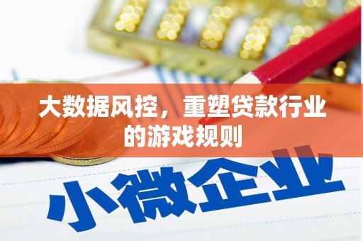 岚山大数据风控，重塑贷款行业的游戏规则