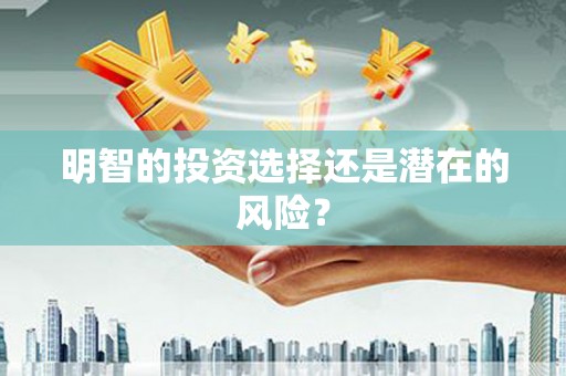 岚山明智的投资选择还是潜在的风险？