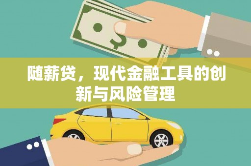 岚山随薪贷，现代金融工具的创新与风险管理