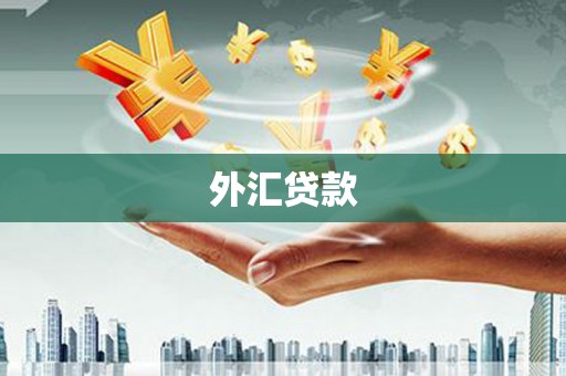 岚山外汇贷款