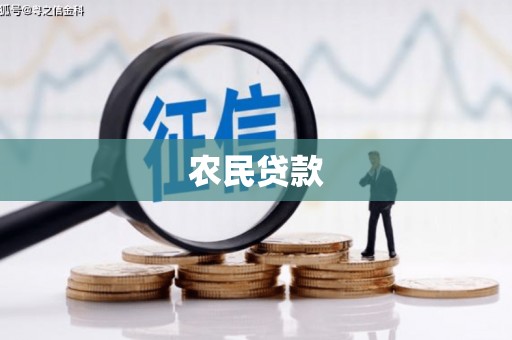 岚山农民贷款