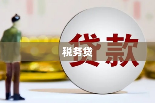 岚山税务贷