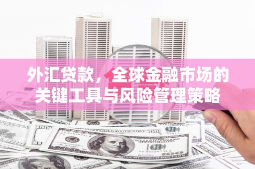岚山外汇贷款，全球金融市场的关键工具与风险管理策略