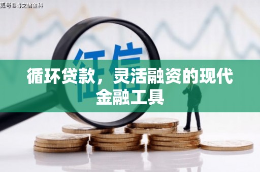 岚山循环贷款，灵活融资的现代金融工具