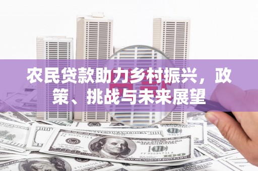 岚山农民贷款助力乡村振兴，政策、挑战与未来展望