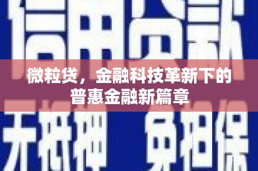 岚山微粒贷，金融科技革新下的普惠金融新篇章