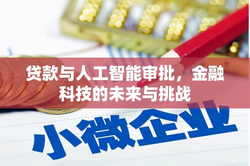 岚山贷款与人工智能审批，金融科技的未来与挑战