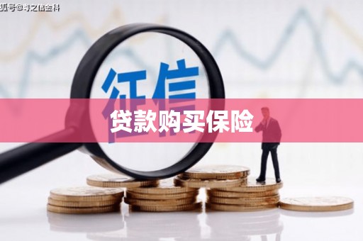 岚山贷款购买保险