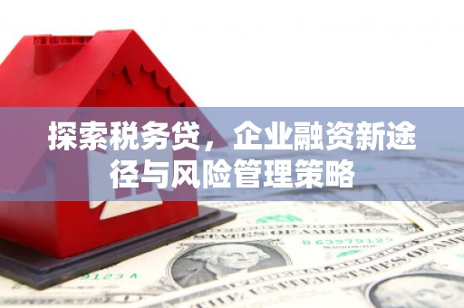 岚山探索税务贷，企业融资新途径与风险管理策略
