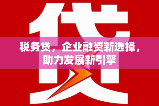 岚山税务贷，企业融资新选择，助力发展新引擎