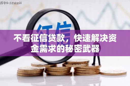 岚山不看征信贷款，快速解决资金需求的秘密武器