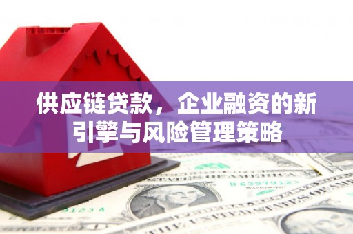 岚山供应链贷款，企业融资的新引擎与风险管理策略