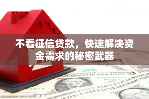 岚山不看征信贷款，快速解决资金需求的秘密武器