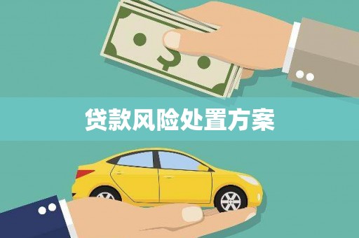 岚山贷款风险处置方案