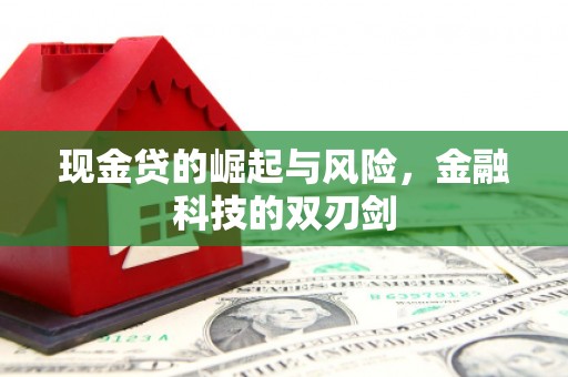 岚山现金贷的崛起与风险，金融科技的双刃剑