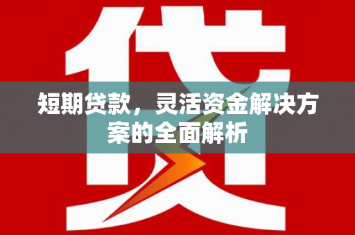 岚山短期贷款，灵活资金解决方案的全面解析