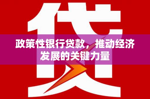 岚山政策性银行贷款，推动经济发展的关键力量