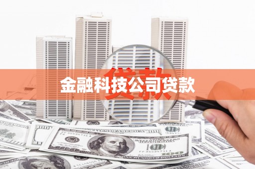 岚山金融科技公司贷款