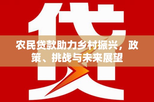 岚山农民贷款助力乡村振兴，政策、挑战与未来展望