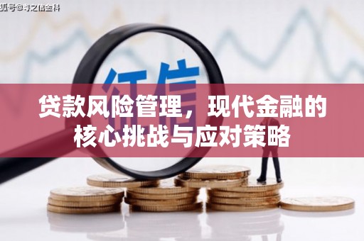 岚山贷款风险管理，现代金融的核心挑战与应对策略