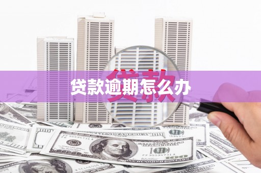 岚山贷款逾期怎么办