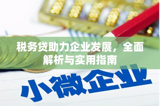 岚山税务贷助力企业发展，全面解析与实用指南