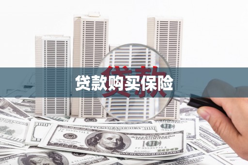 岚山贷款购买保险
