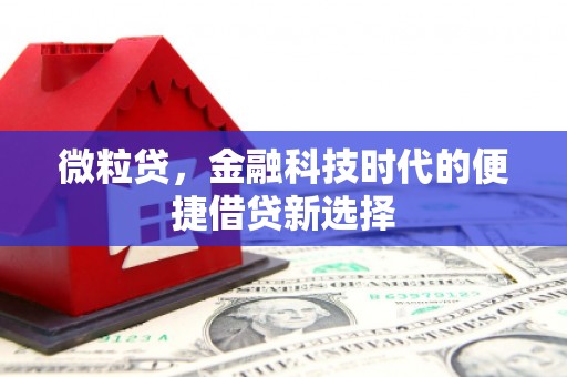 岚山微粒贷，金融科技时代的便捷借贷新选择
