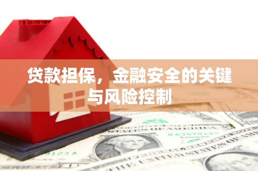 岚山贷款担保，金融安全的关键与风险控制