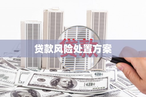 岚山贷款风险处置方案