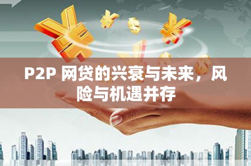 岚山P2P 网贷的兴衰与未来，风险与机遇并存