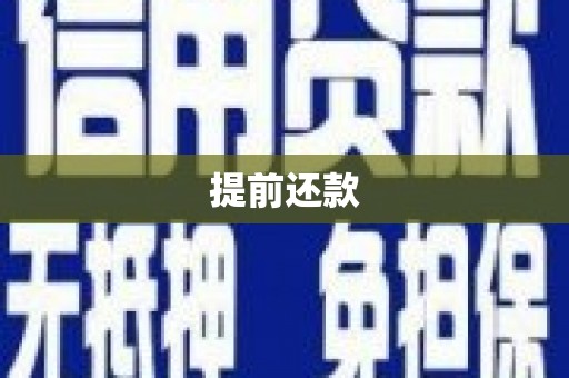 岚山提前还款