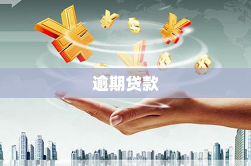 岚山逾期贷款